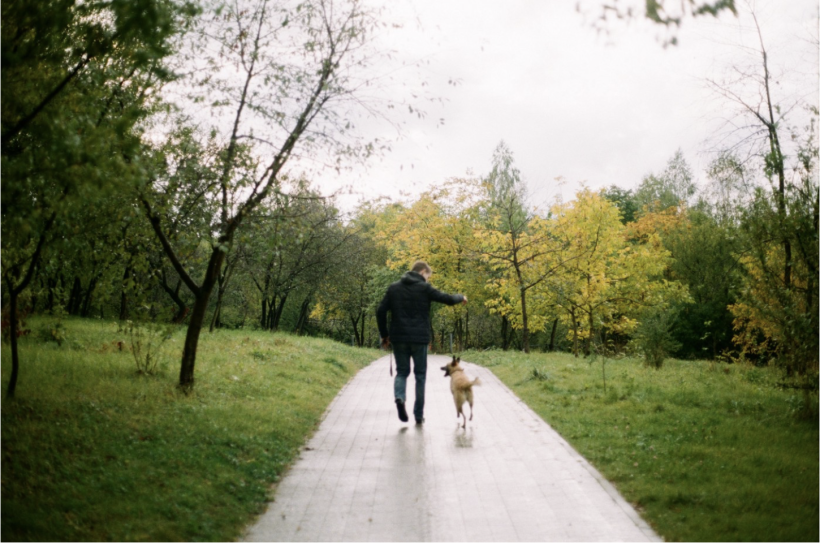 Een persoon wandelt met een hond in een park